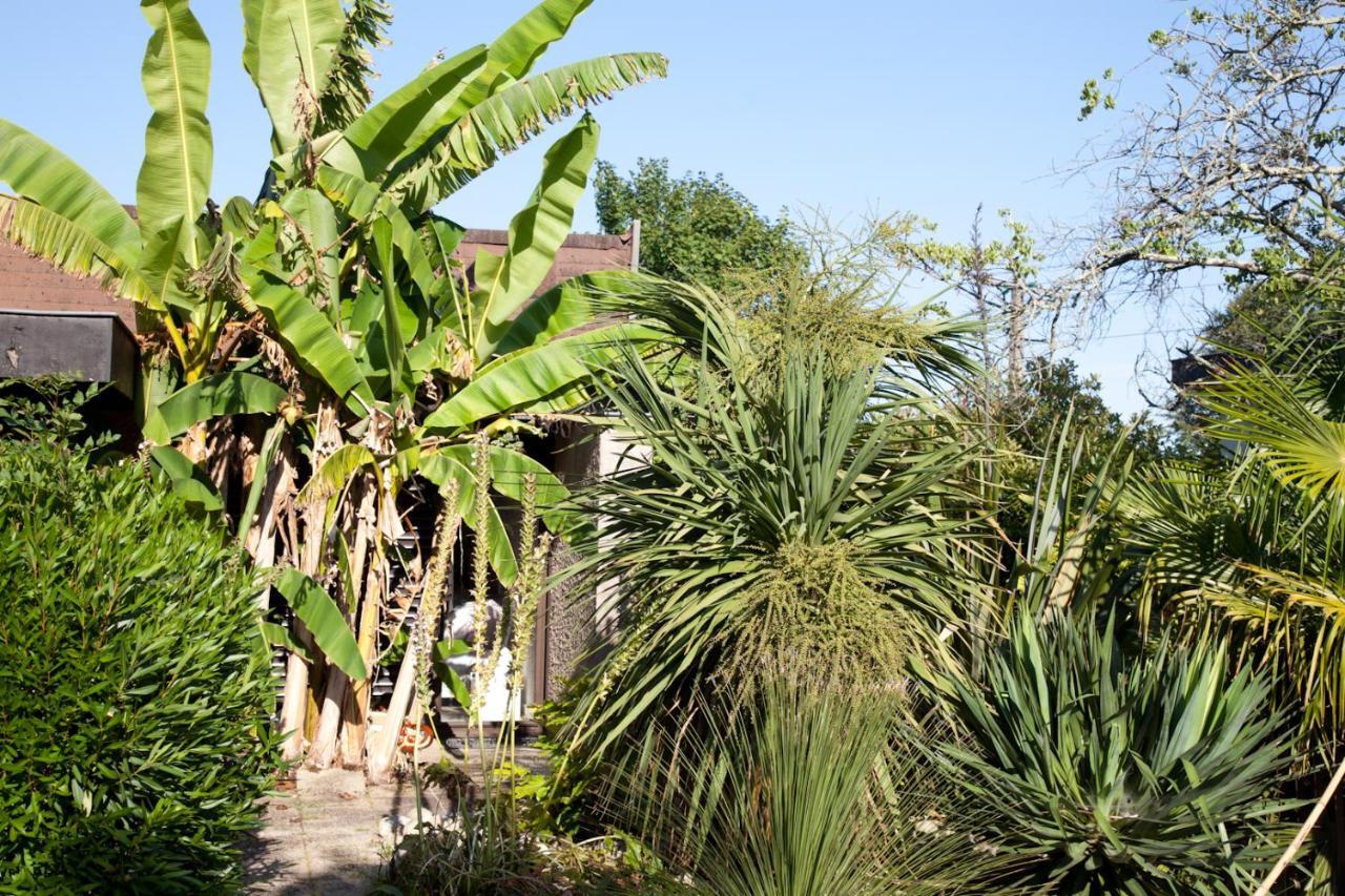 Villa Margaux Fargues-Saint-Hilaire エクステリア 写真